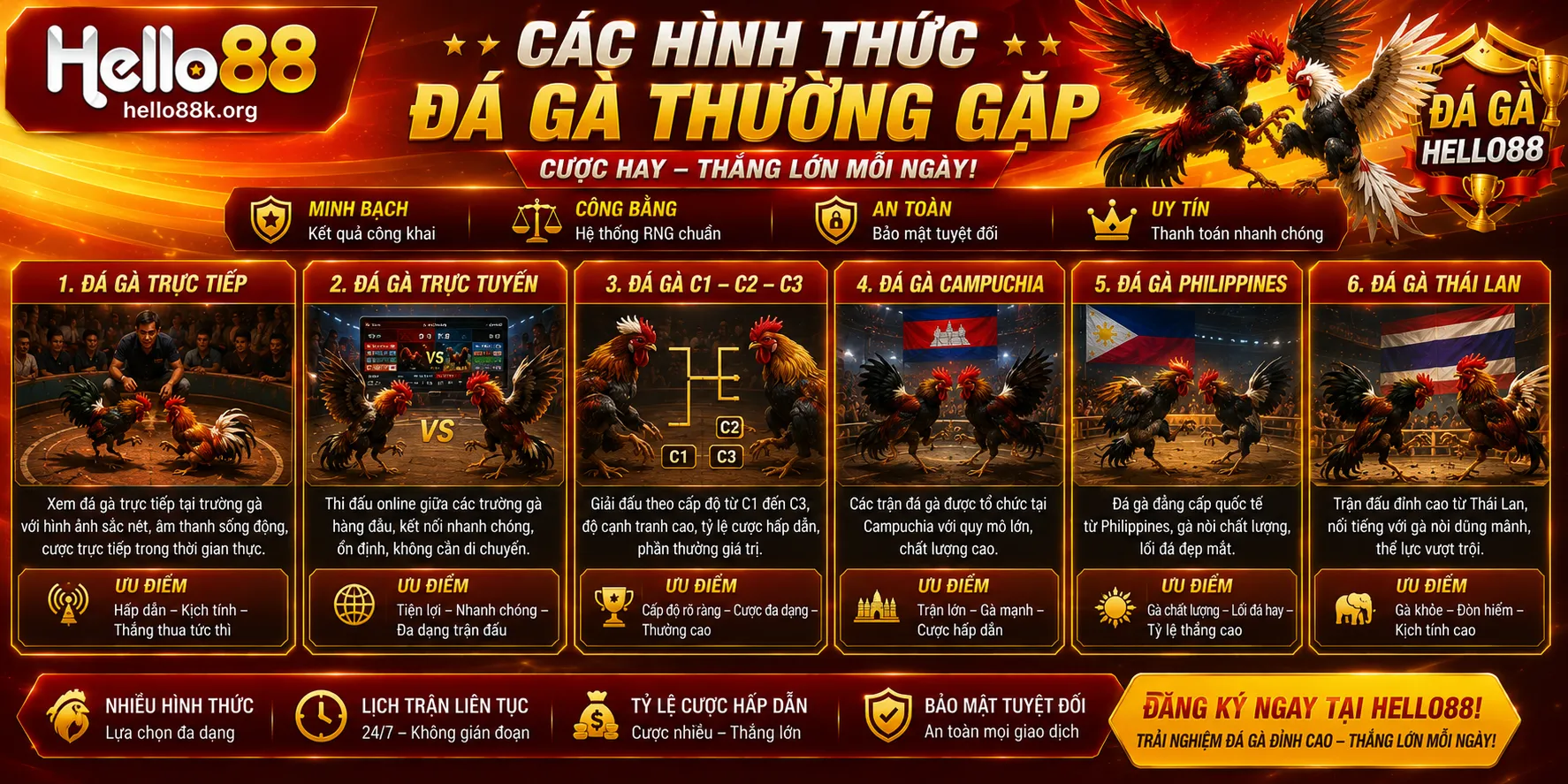 Các hình thức đá gà thường gặp